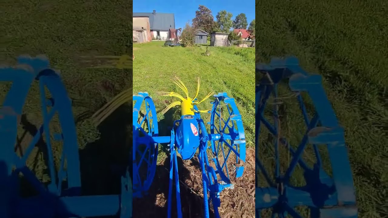 Wykopki 2025 czyli TZ4K14 & kopaczka konna Agromet Pionier KK Z602 🥔🥔 #Vlog 4