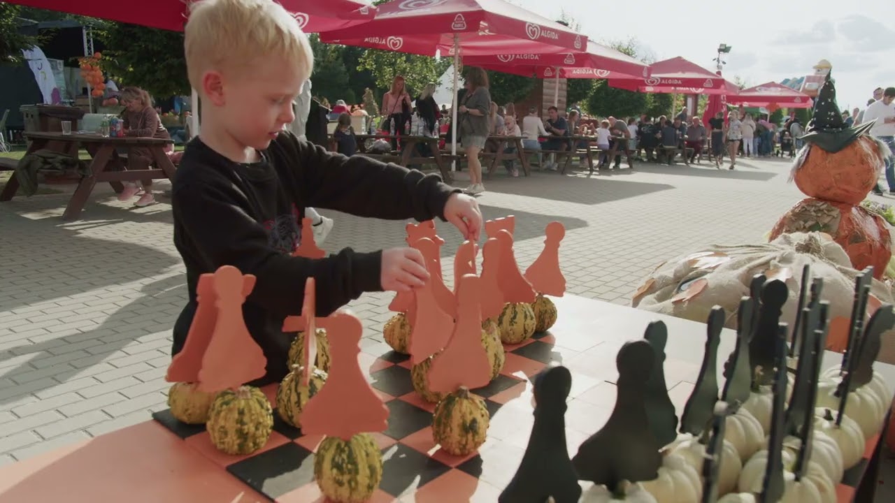 Deli Park | Park kreatywnej zabawy wśr&oacute;d natury!