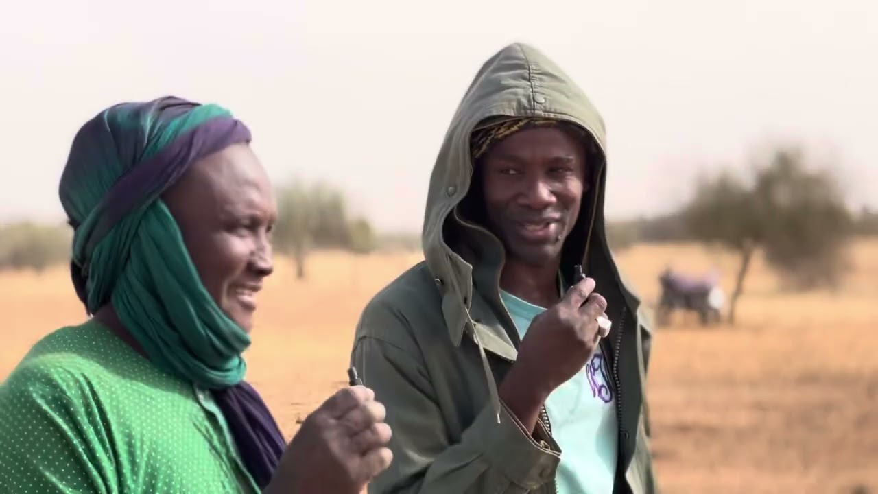 Boubacar djiby louadou et ces troupeaux à louguéré mbaba