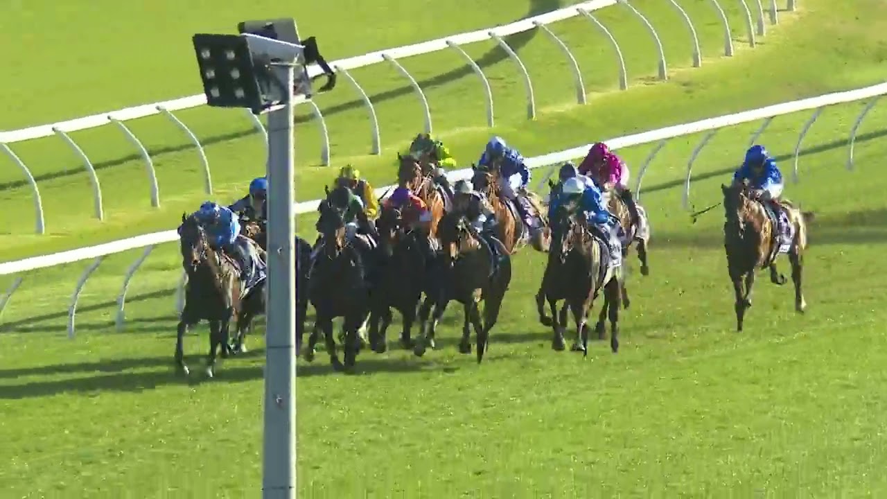 CEOLWULF - King Charles III Stakes 2025 (3 года+ WFA G1), Группа 1, Рэндвик, 18 октября