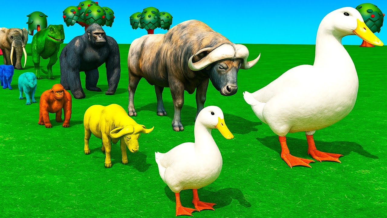 Long Slide Game With Cow Elephant Gorilla Hippopotamus Tiger - 3d Animal Game - Funny 3d Animals