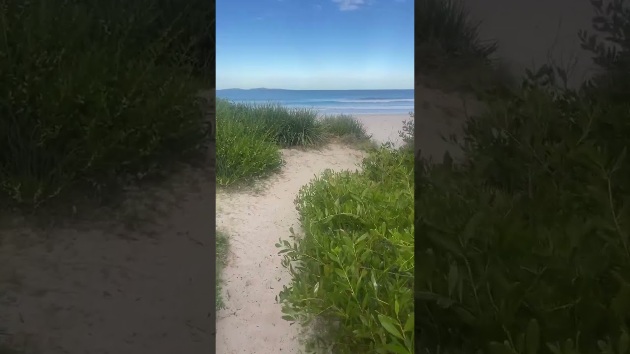 Hidden Beaches near Sydney