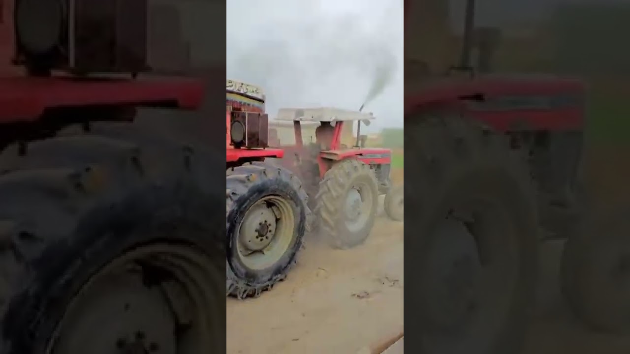 mf 385 vs mf375 touchan moqbla | power of Pakistani tractor| village culture