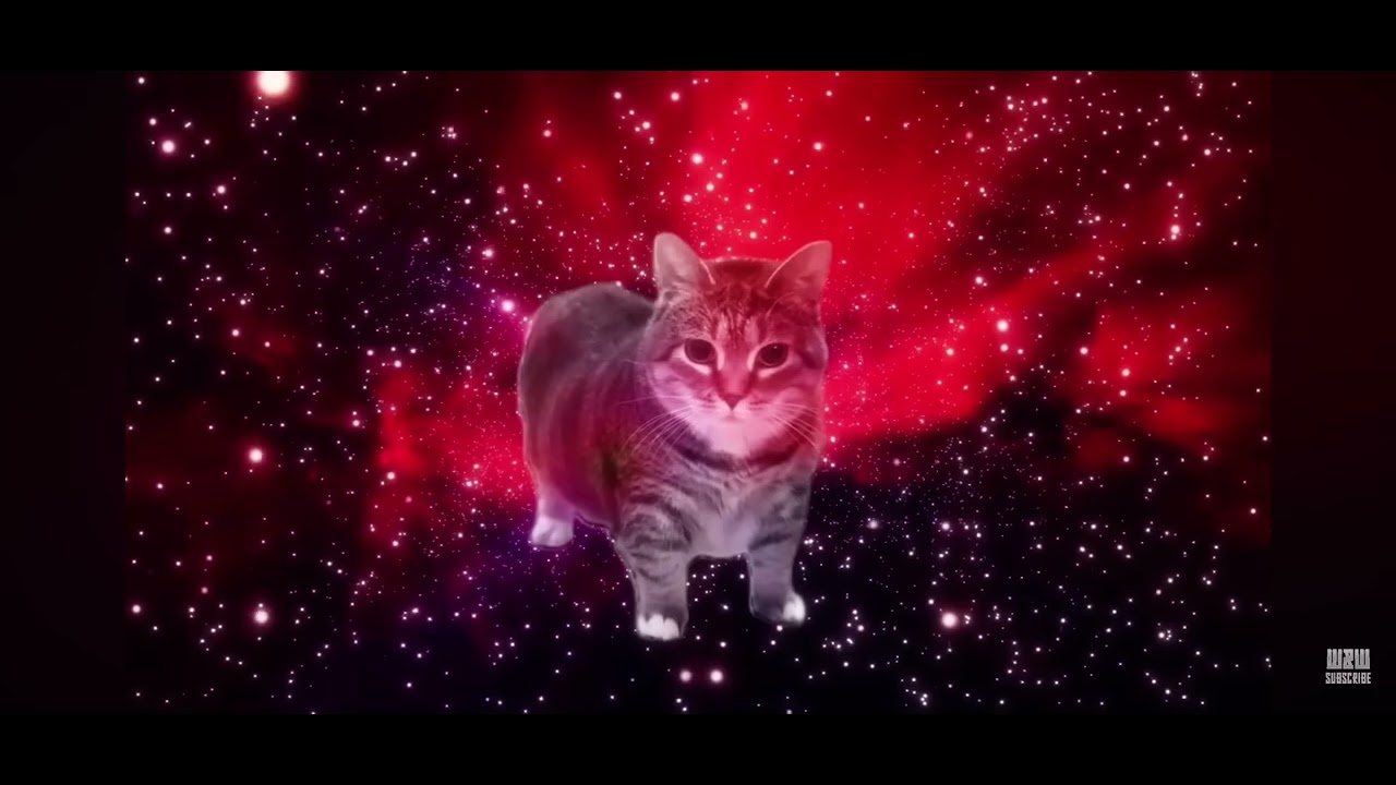 🇹🇷