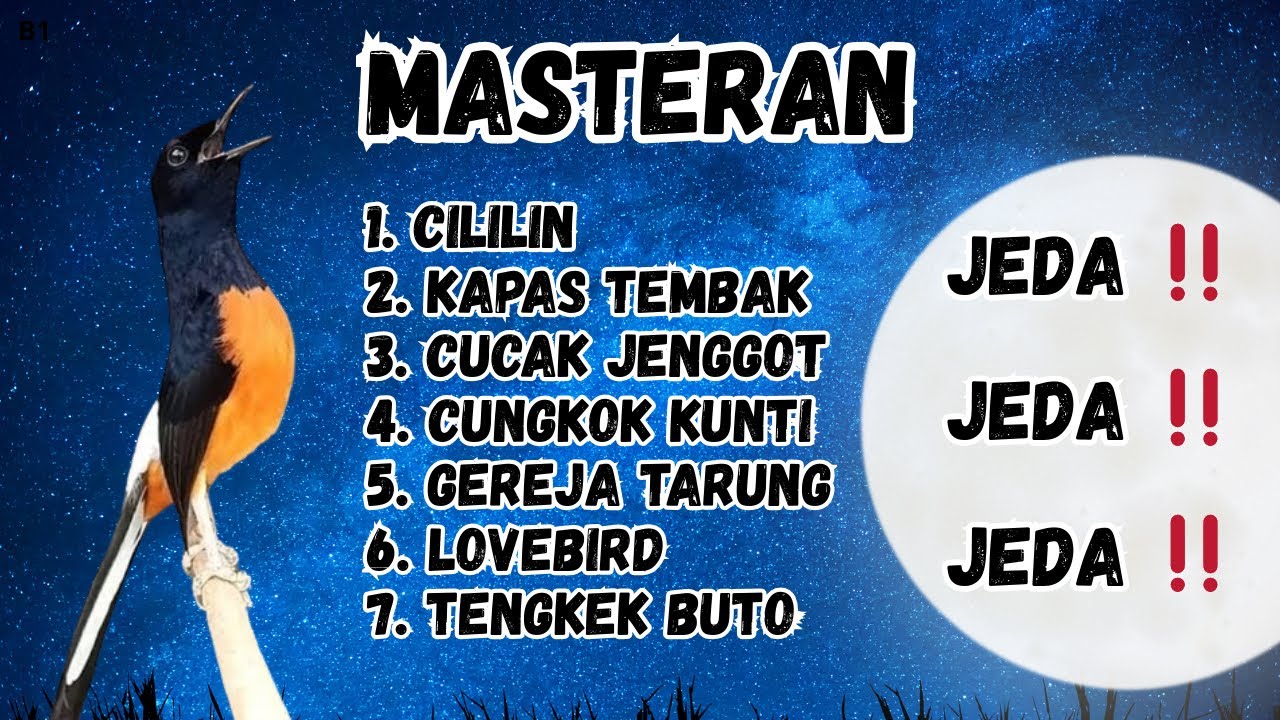 🔴 MASTERAN MEWAH JEDA ‼️ FULL ISIAN MURAI BATU GACOR