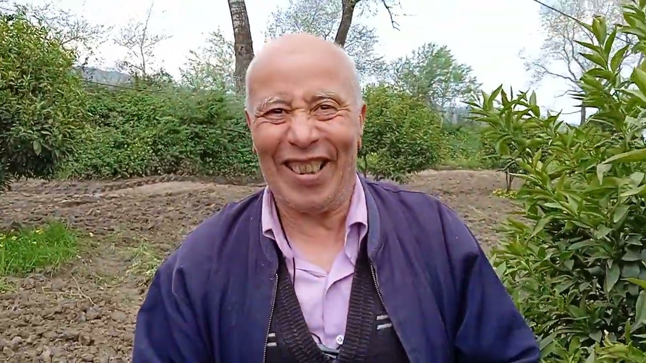 Les agriculteurs formés en exercice de taille des orangers