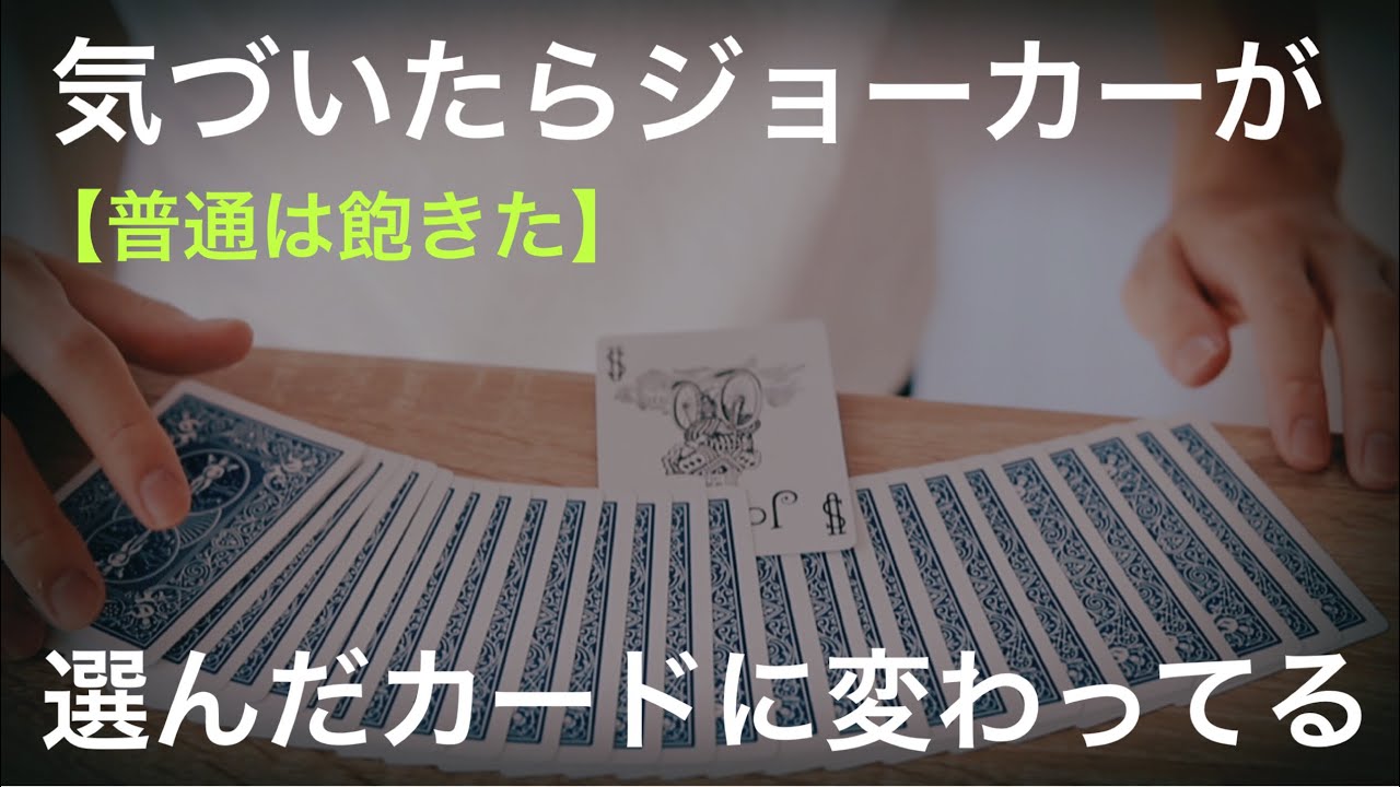 【衝撃】これを見た観客の９割が驚きのあまり目玉が飛び出て行方不明になったので、代わりにシカゴの四つ玉でも入れときますかと提案したら喜ばれました。