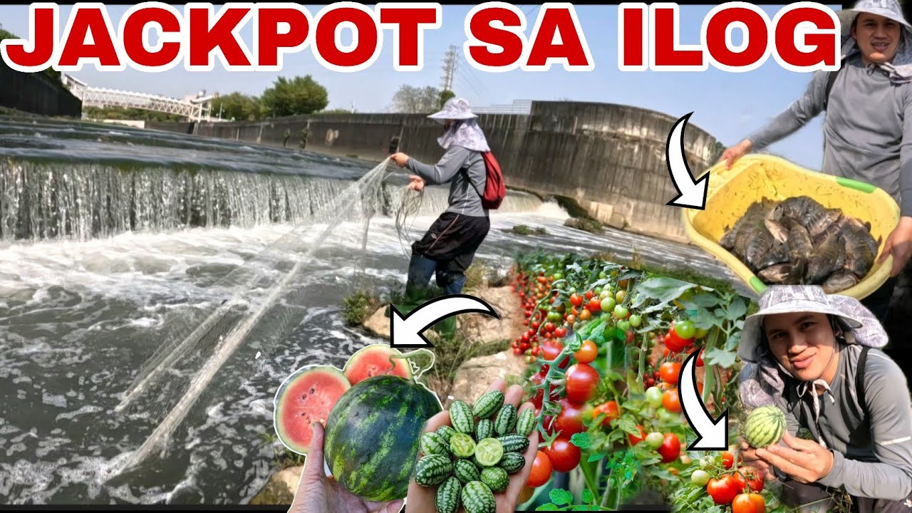 FALLS sandamakmak  isda at Ligaw na prutas  Dami namin nakuha