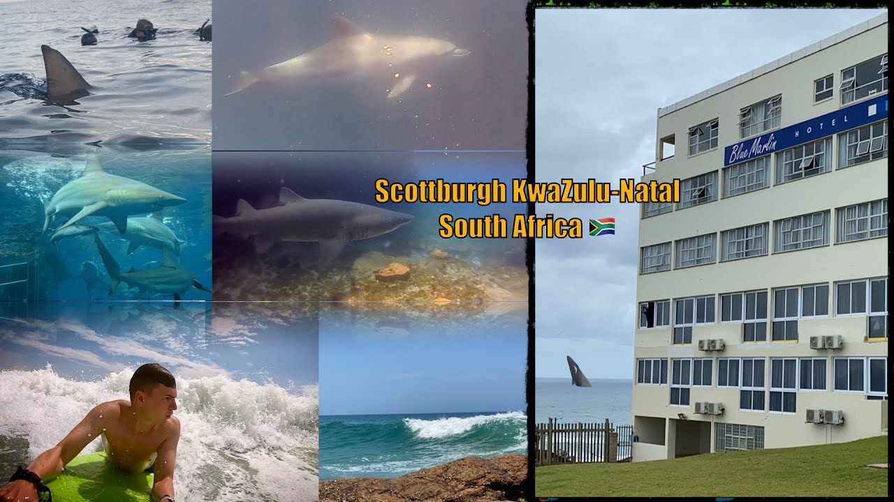 Blue Marlin Hotel || Scottburgh || South Africa 🇿🇦 || December 2019 || #DreamHotelsandResorts