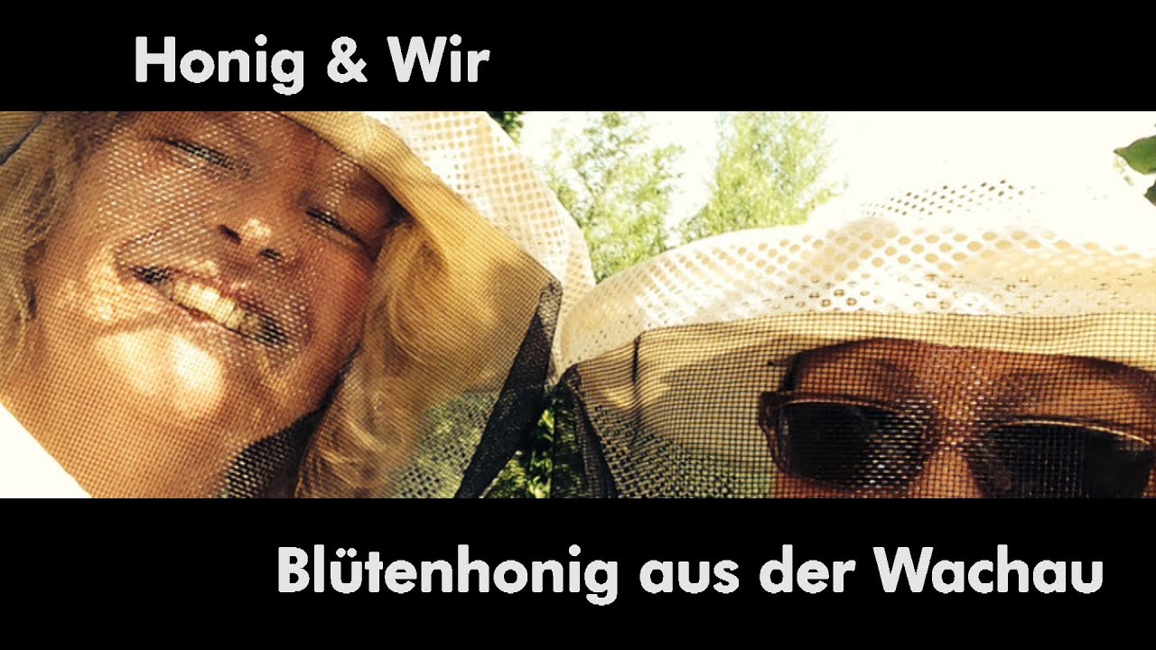 Honig ist gesund - Eröffnung Honigwerkstatt in Krems