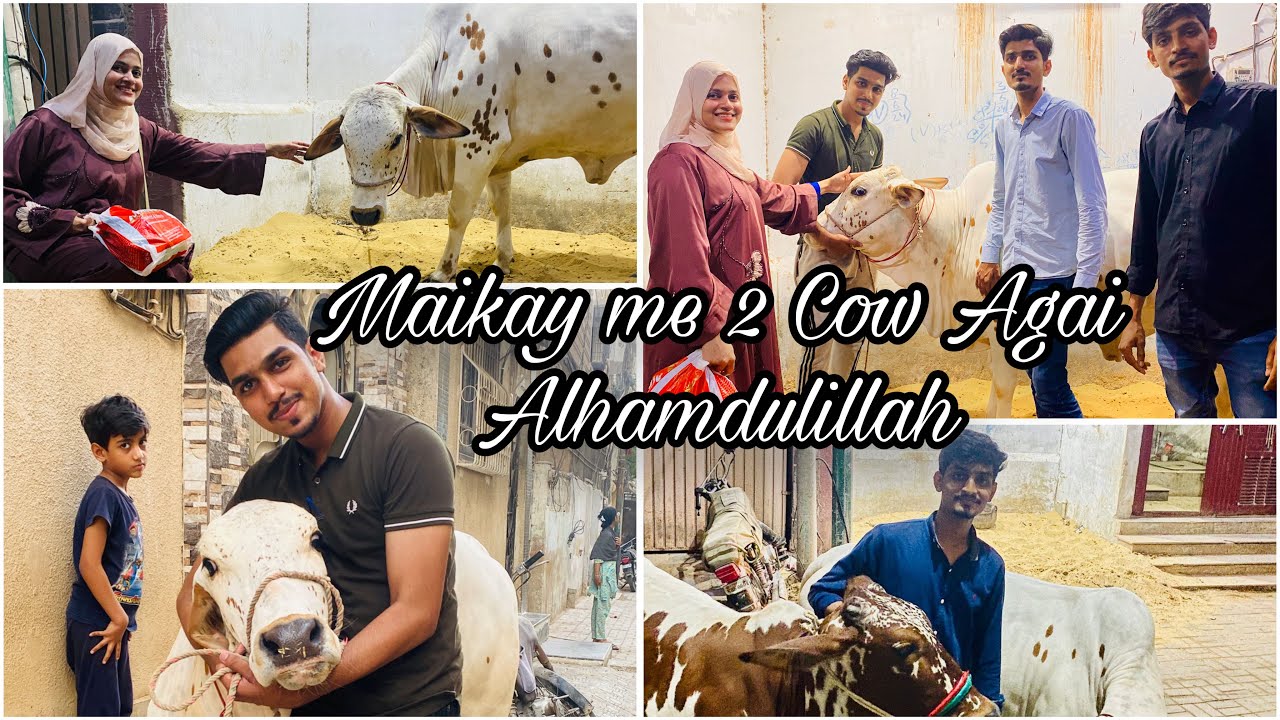 Alhamdulillah Mere maikay me Cow Agai || 2024 ki Cow || Surprize Cow || Diamond Farhan ||