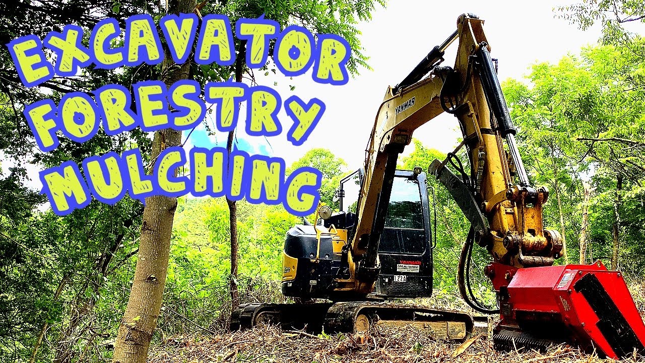 Excavator Forestry Mulcher. How Much Does It Pay???