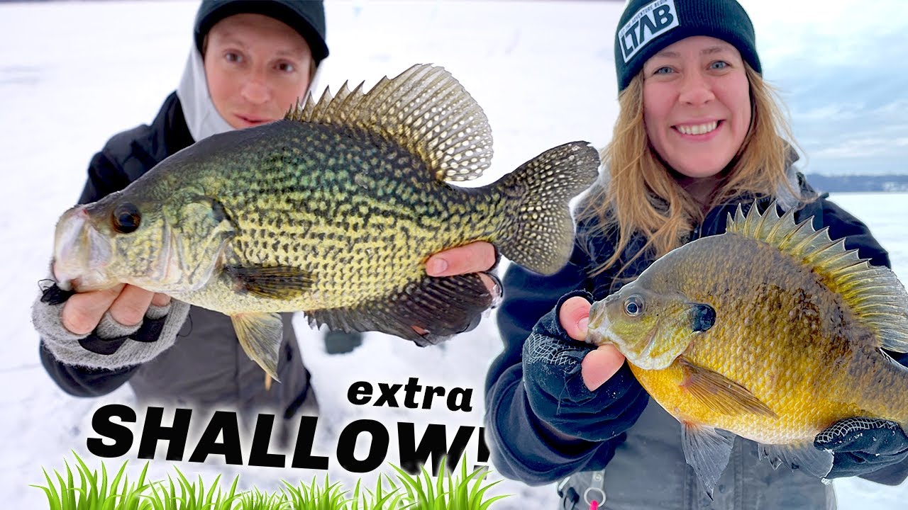 EXTRA SHALLOW Giant Crappies & Bluegill at Sunrise! (LATE ICE)