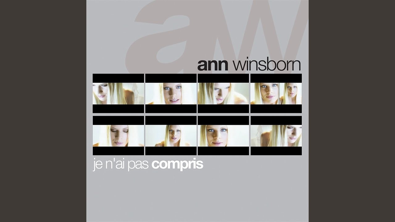Je n'ai pas compris (Alternative Radio Version)