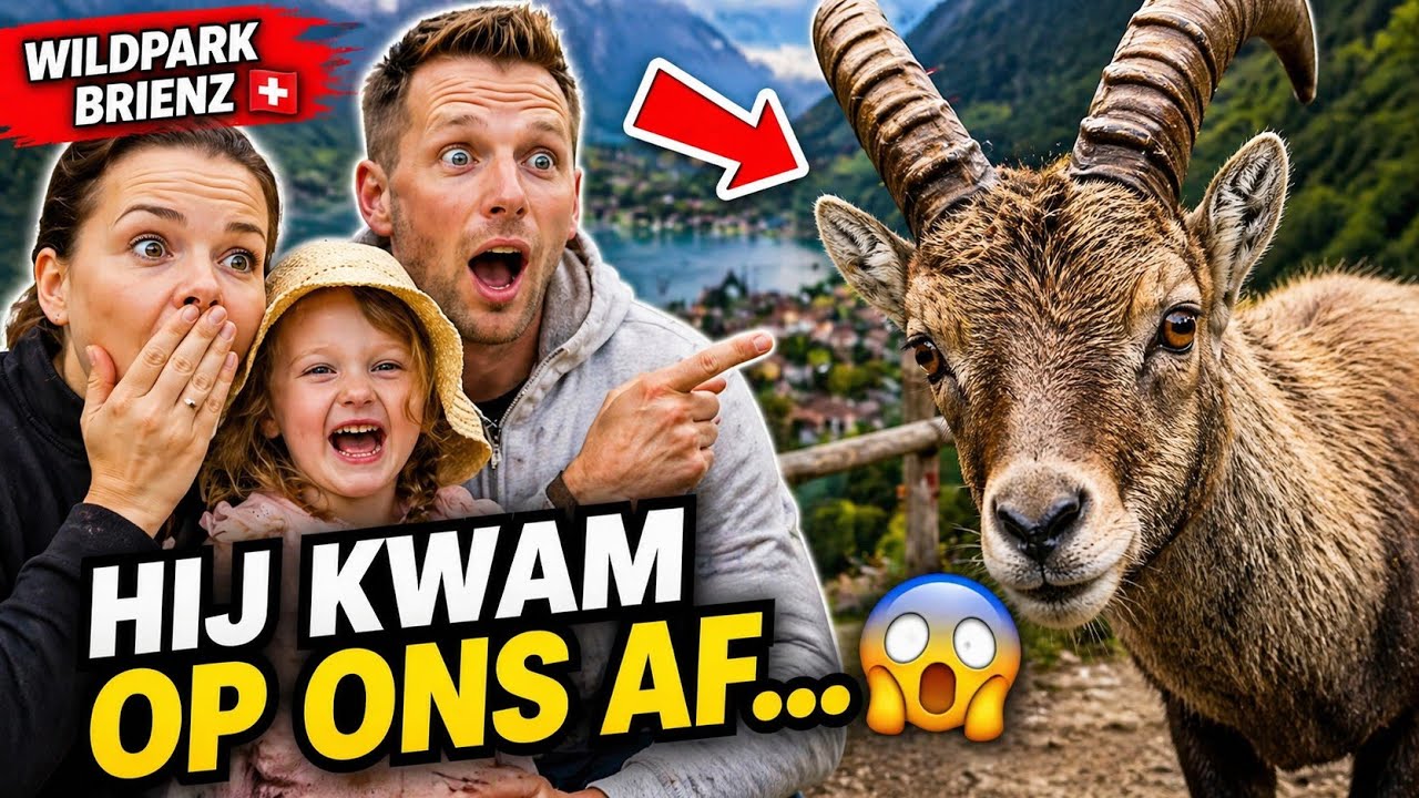  WiLDPARK BRiENZ: Dit Verwachtten We NIET… 🐻🇨🇭 - De Westerveldjes Vlog #20 #viral #nature 