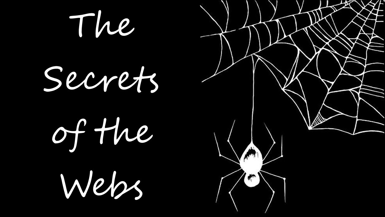 The Mythology of Spiders