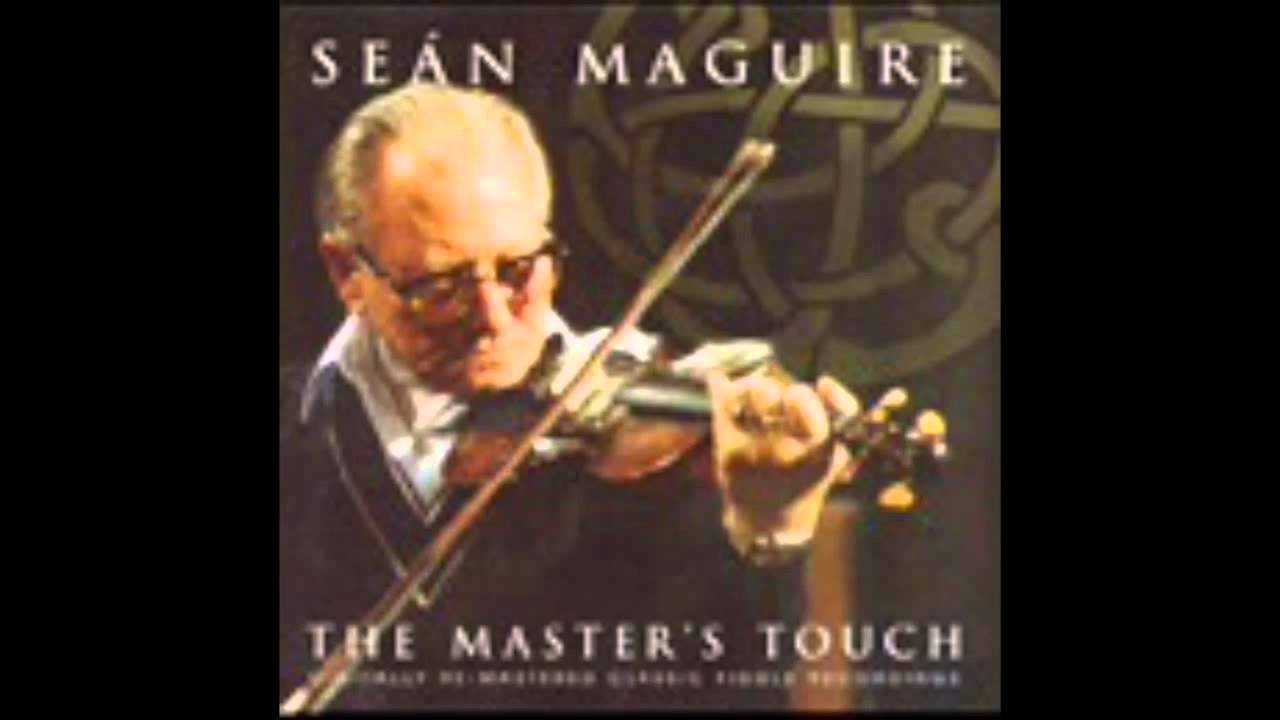 Sean McGuire - The Old Grey Goose