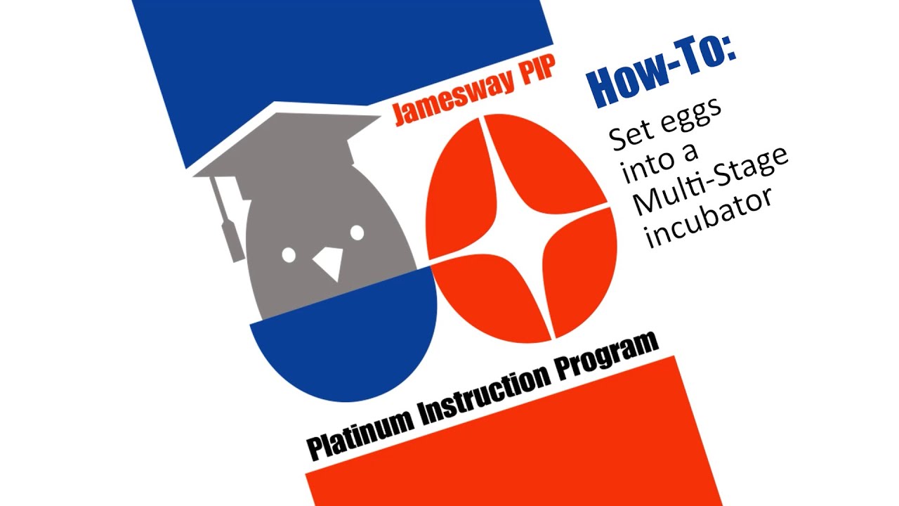 PIP HT 16   Setting eggs into a Multi Stage incubator