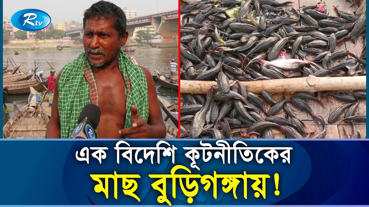 বিদেশি মাছে সয়লাব নদী ও জলাশয়, হুমকিতে দেশীয় মৎস্য | Sakar Fish | Rtv News