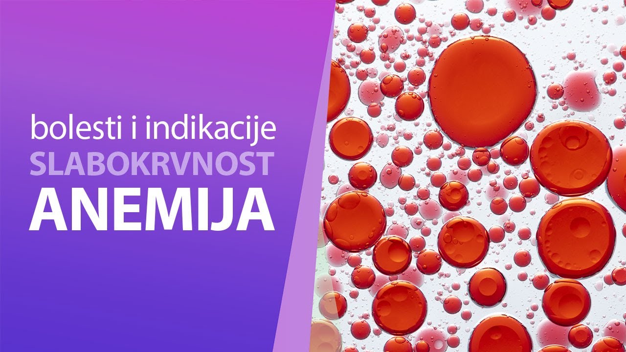 Poliklinika Amruševa: Anemija (slabokrvnost)