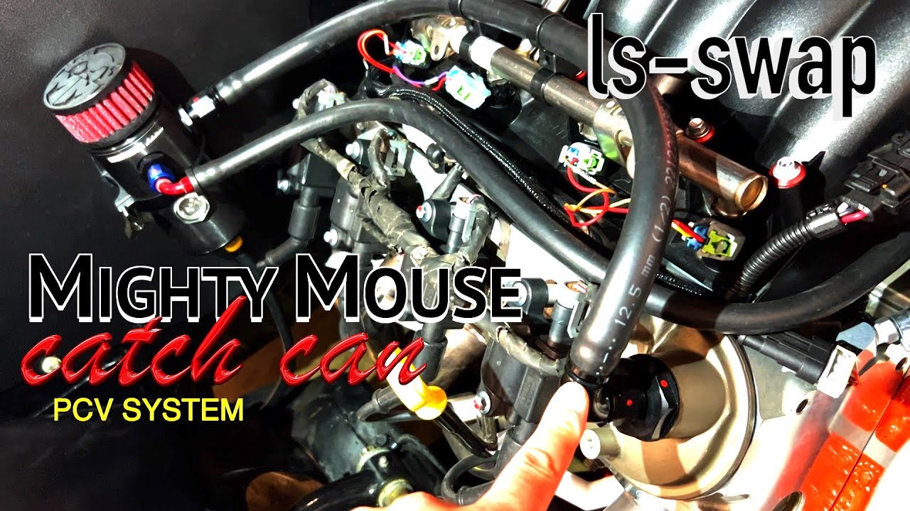 Mighty Mouse catch can for Lq4 block with ls3 heads *** PCV SYSTEM FOR LS SWAP***