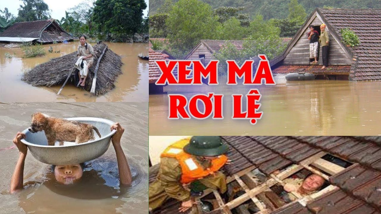 Ôi Miền Trung Ơi - Một bài hát chia sẽ với nổi đau thiên tai lụt bão miền trung.