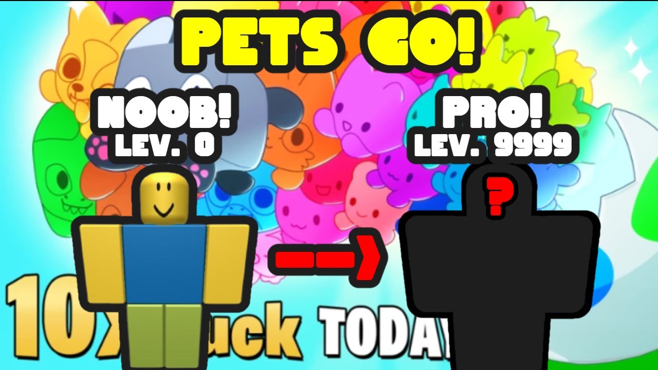 Pets Go [Update Vid!]