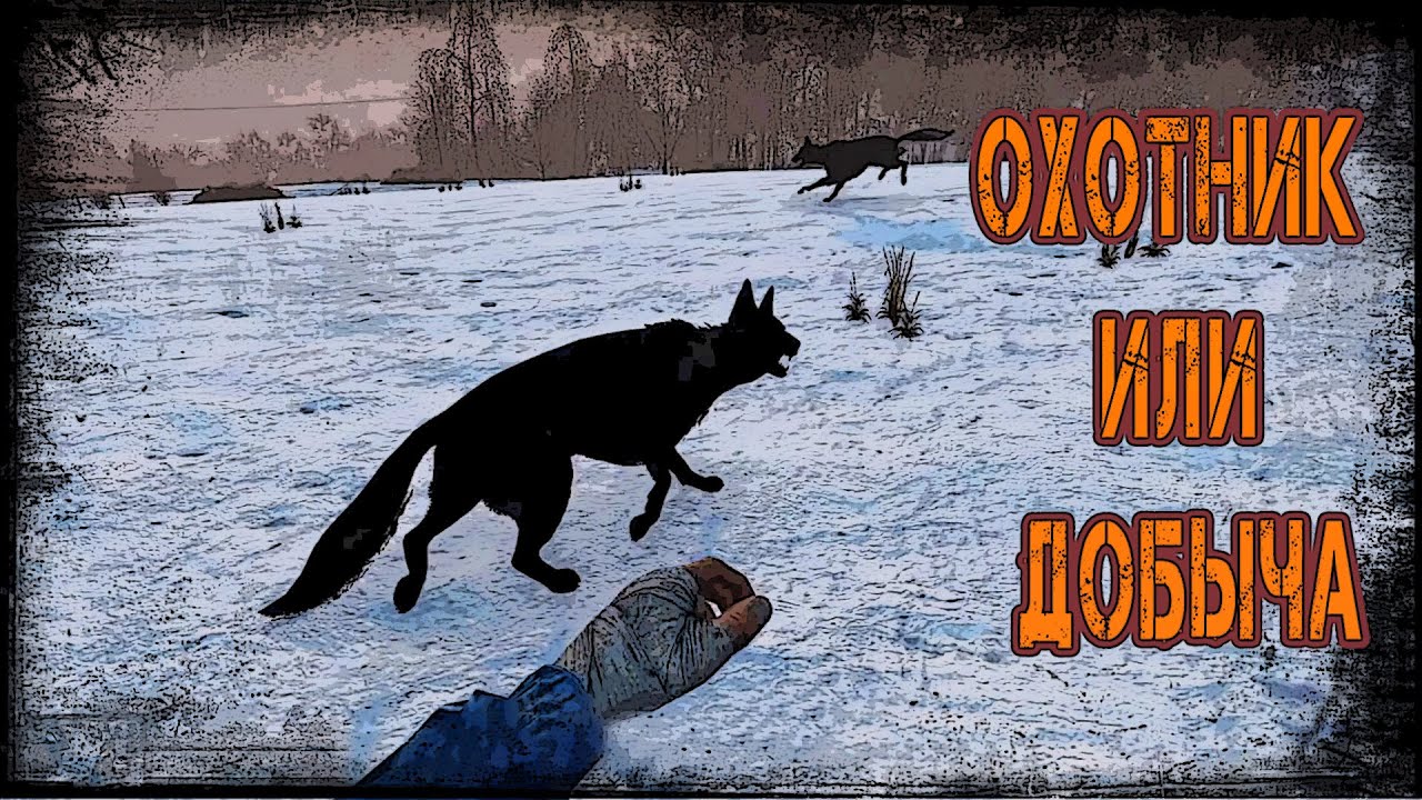 Dayz Predators - Охотник или добыча