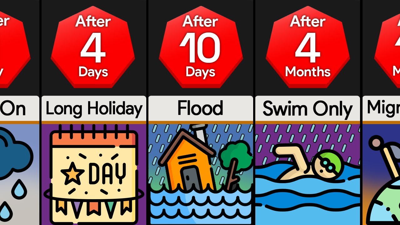 Timeline: What If It Rained Non-stop For A Year