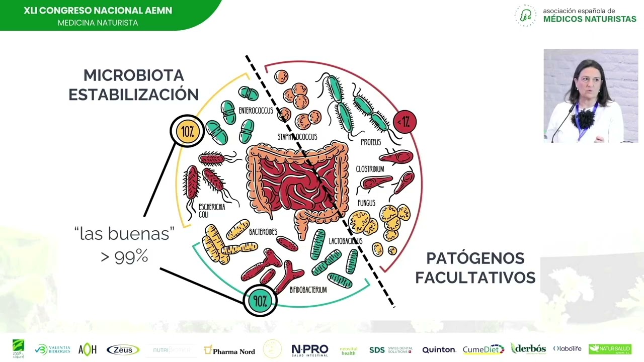 Eje intestino cerebro, vías de conexión y principales disruptores