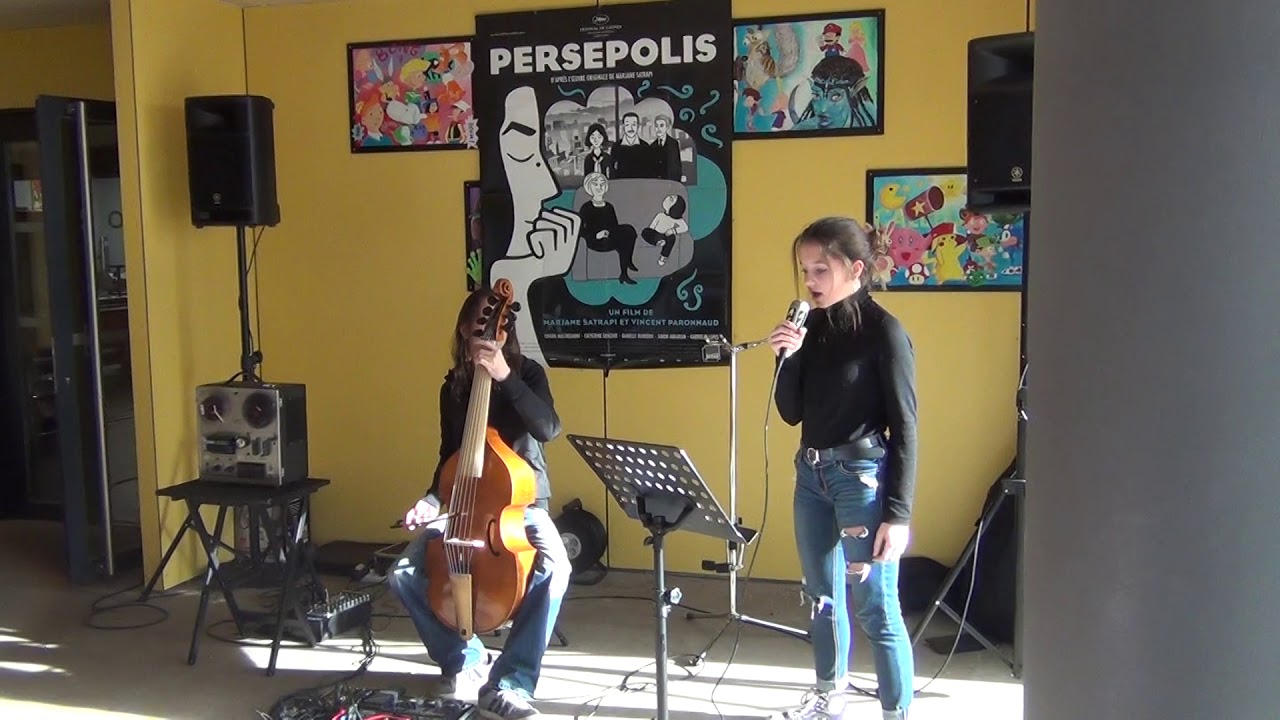 aperçu du spectacle de la classe de 3ème1 