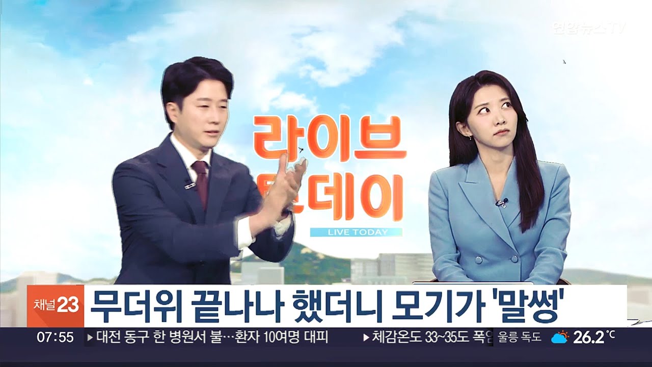 뉴스에서 이래도 돼? 방송사고 급 모먼트 모음집 (Feat. 연합뉴스TV 출근길 인터뷰)