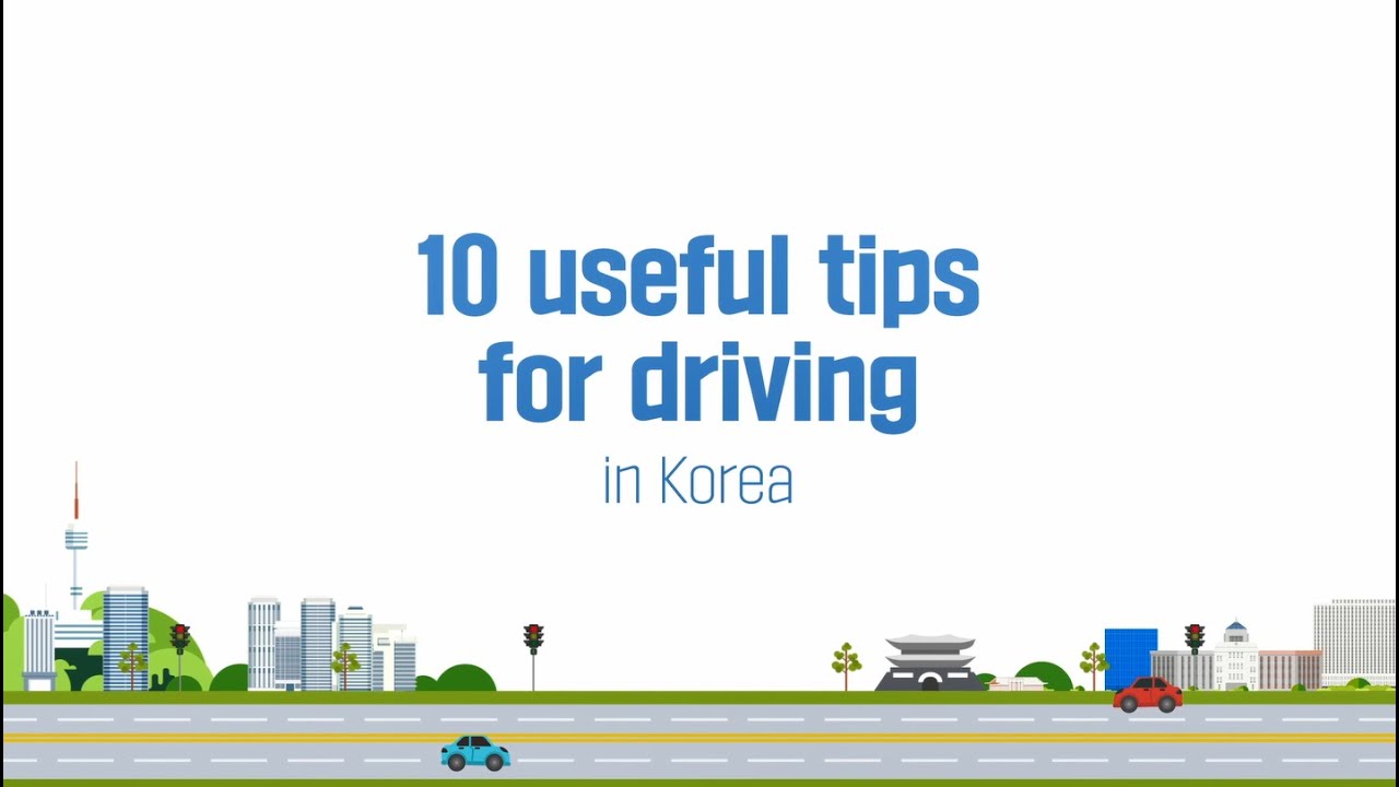 Safe Driving Methods in Republic of Korea l 대한민국의 안전운전 방법! 🍯