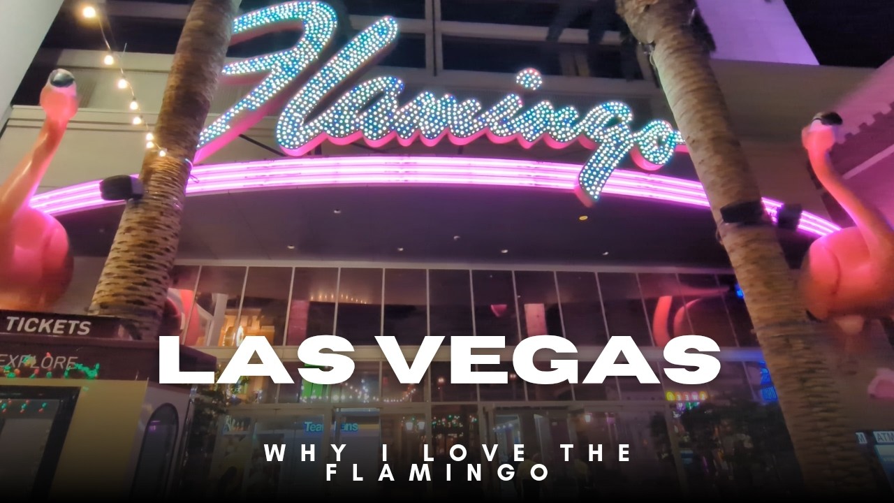 Flamingo Las Vegas Hotel & Casino with Room Tour