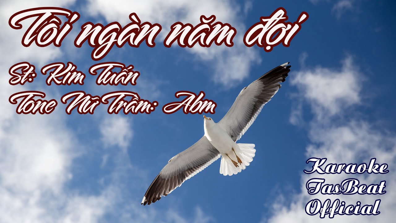Karaoke Tôi Ngàn Năm Đợi Tone Nữ Trầm | TAS BEAT