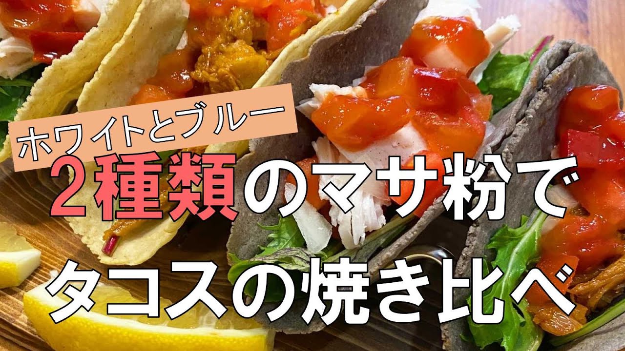 【タコスくらべ】ホワイトとブルー２種類のマサ粉