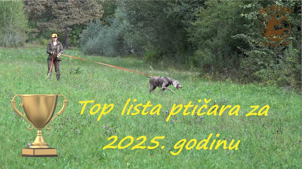 Top lista najboljih ptičara za 2025. godinu