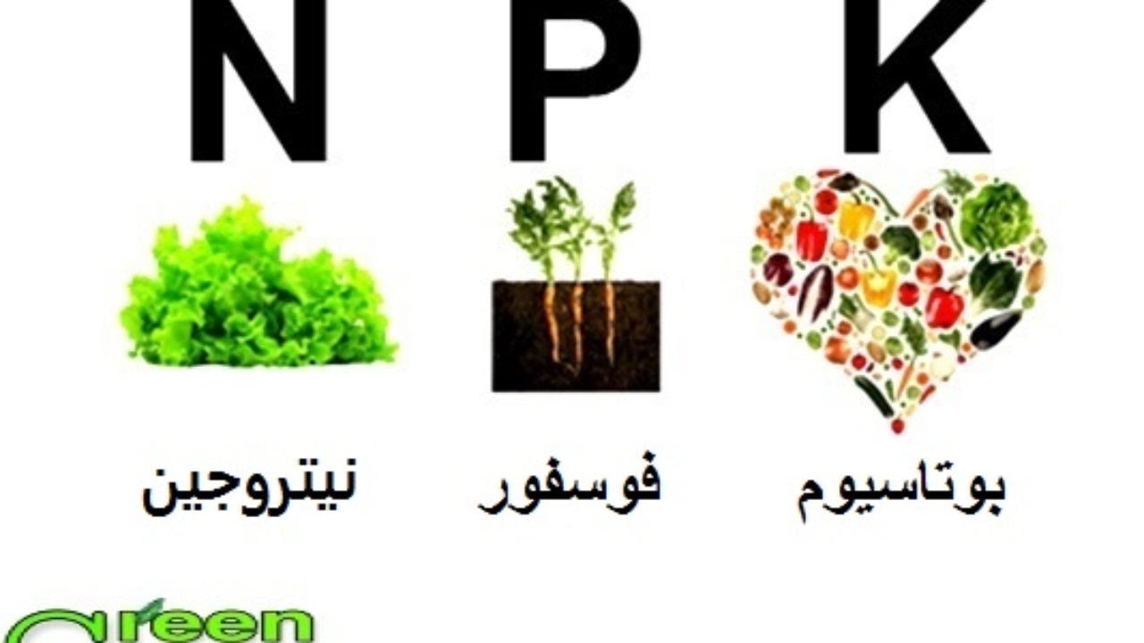 كل ما تريد معرفته عن السماد في فيديو واحد