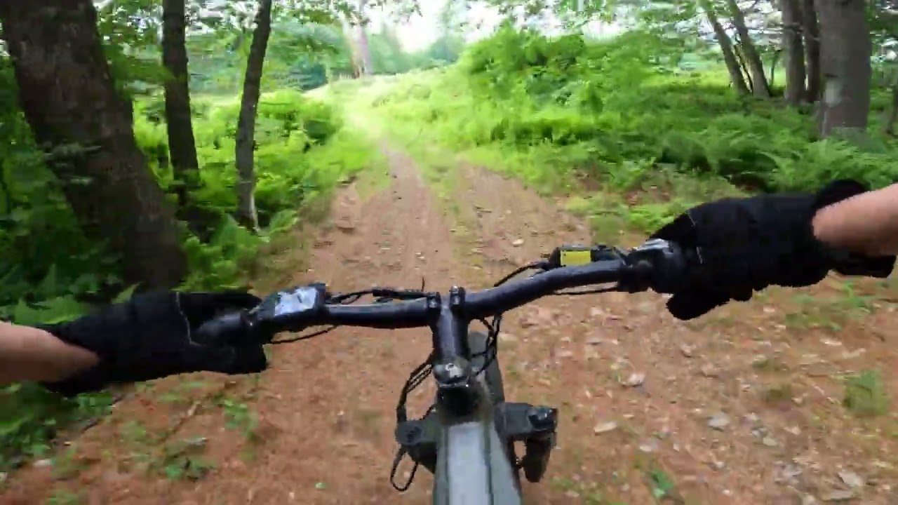 Velowave Ranger FMTB3 Electric Bike 750W Ebike Trail Ride