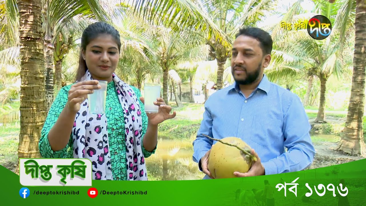 DEEPTO KRISHI | বরিশালে খাটো জাতের নারিকেল চাষে বাণিজ্যিক সম্ভাবনা  | Deepto TV
