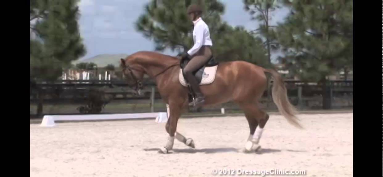 DressageClinic.com Presents Heather Blitz Riding & Lecturing Roanoke  sample 7252012