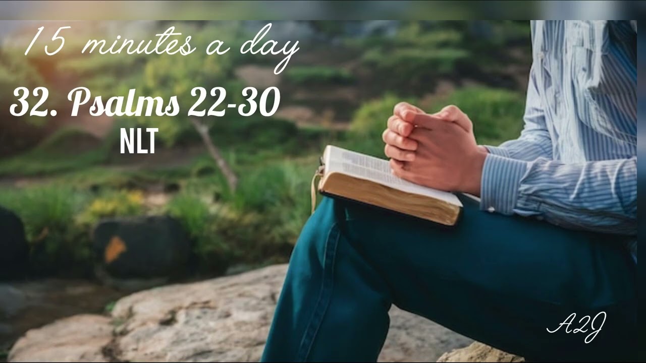 15 minutes a day Bible Reading Podcast // Thirty-two // Psalms 22-30