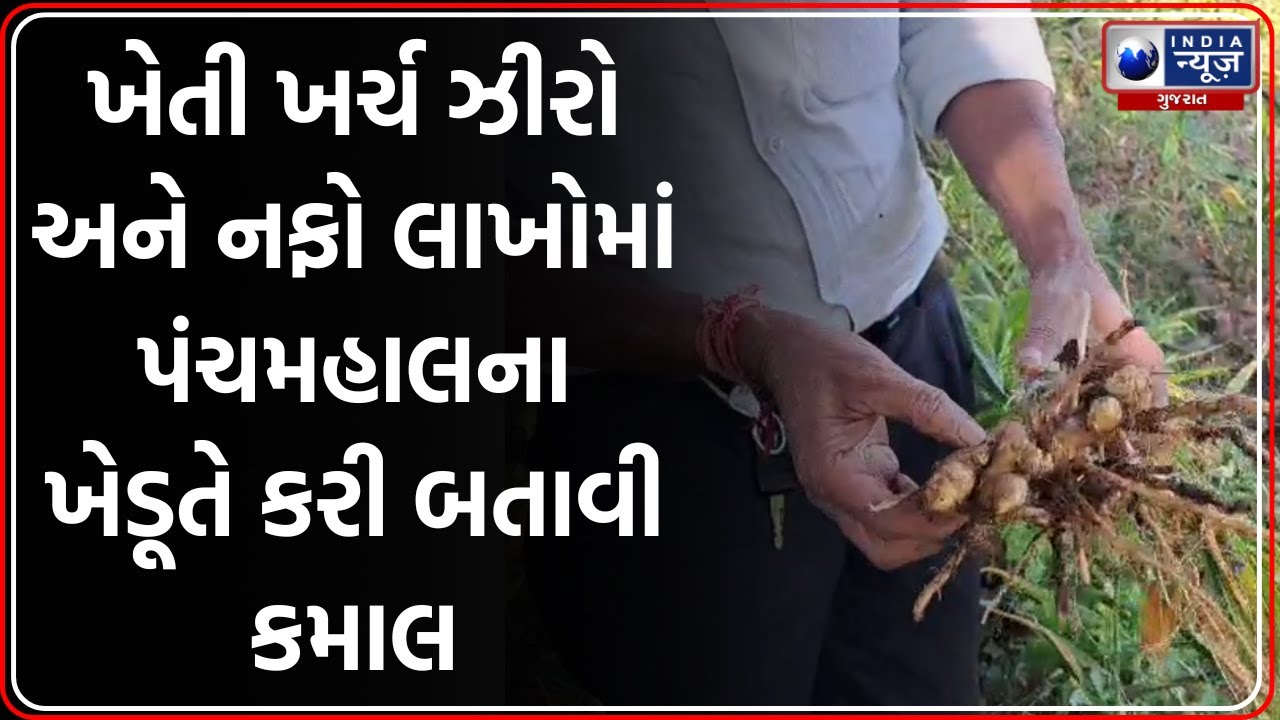 Panchmahal: નરેન્દ્રસિંહ સોલંકીની Zero Budget ખેતીમાં મબલખ કમાણી | ATMA Project Training Benefits