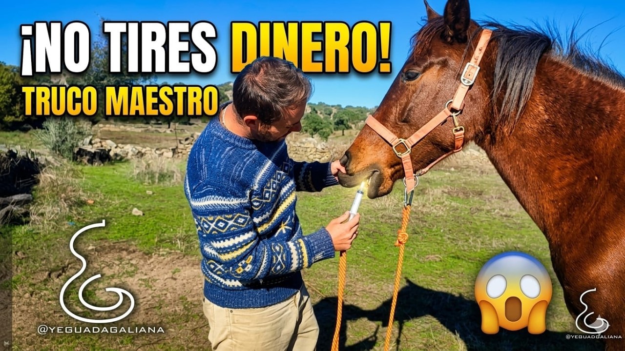 Desparasitando SIN desperdiciar producto!!🙌