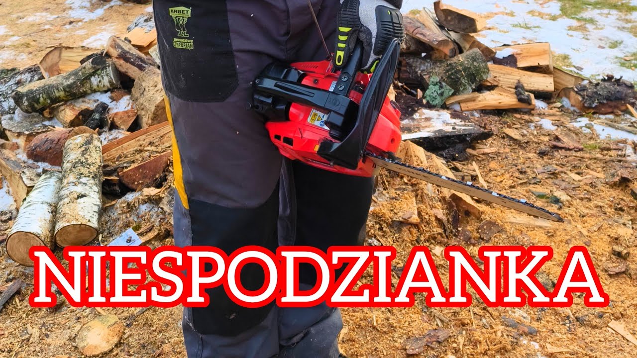 Zenoah G2500 vs Riwall 2526 kopia Echo 2511 na wesoło 