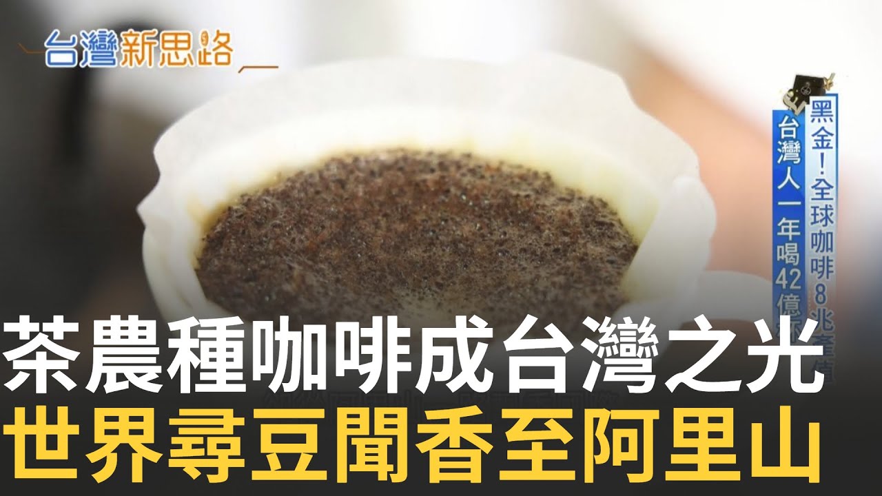 精華｜阿里山咖啡香飄國際 不被看好的咖啡新手 奪總統獎竟是被"拐入圈"│【台灣新思路】20250930│三立新聞台