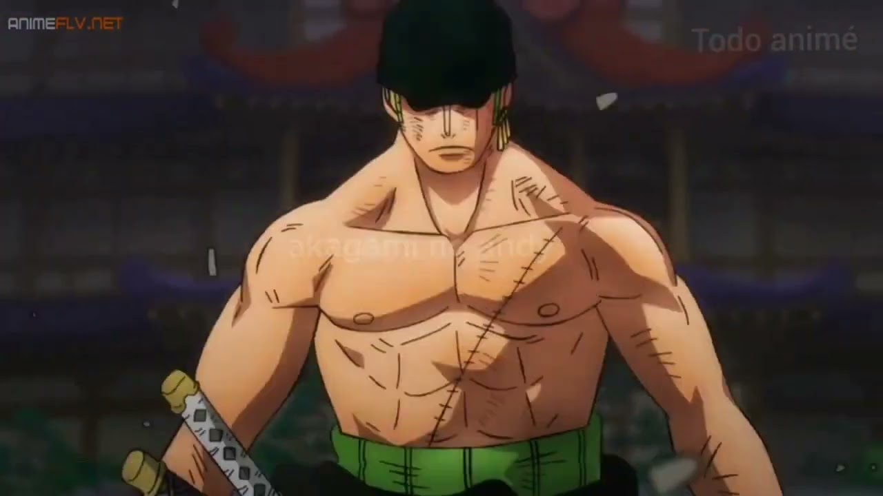 Sanji y Zoro vs king y Queen las alas del rey Delos piratas