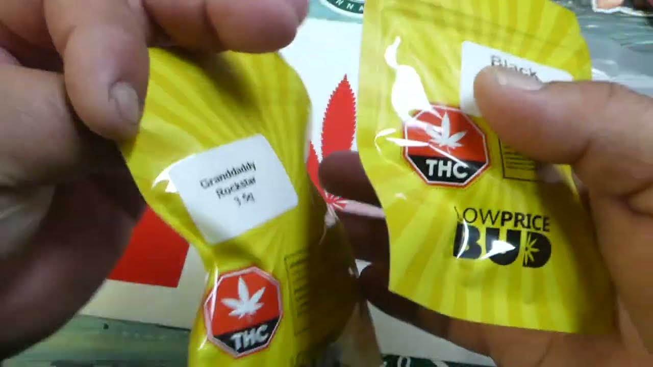 Unboxing Low Price Bud