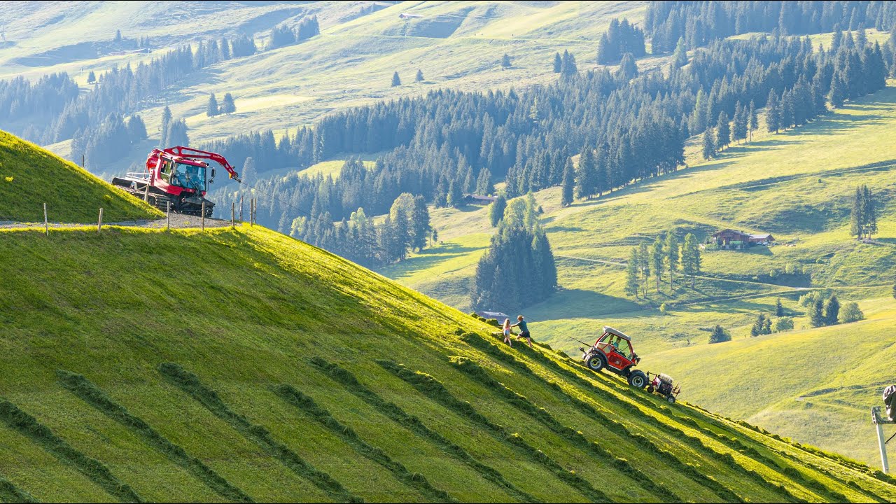 Landwirtschaft in den Bergen - Bergbauernhof Perfeldhof