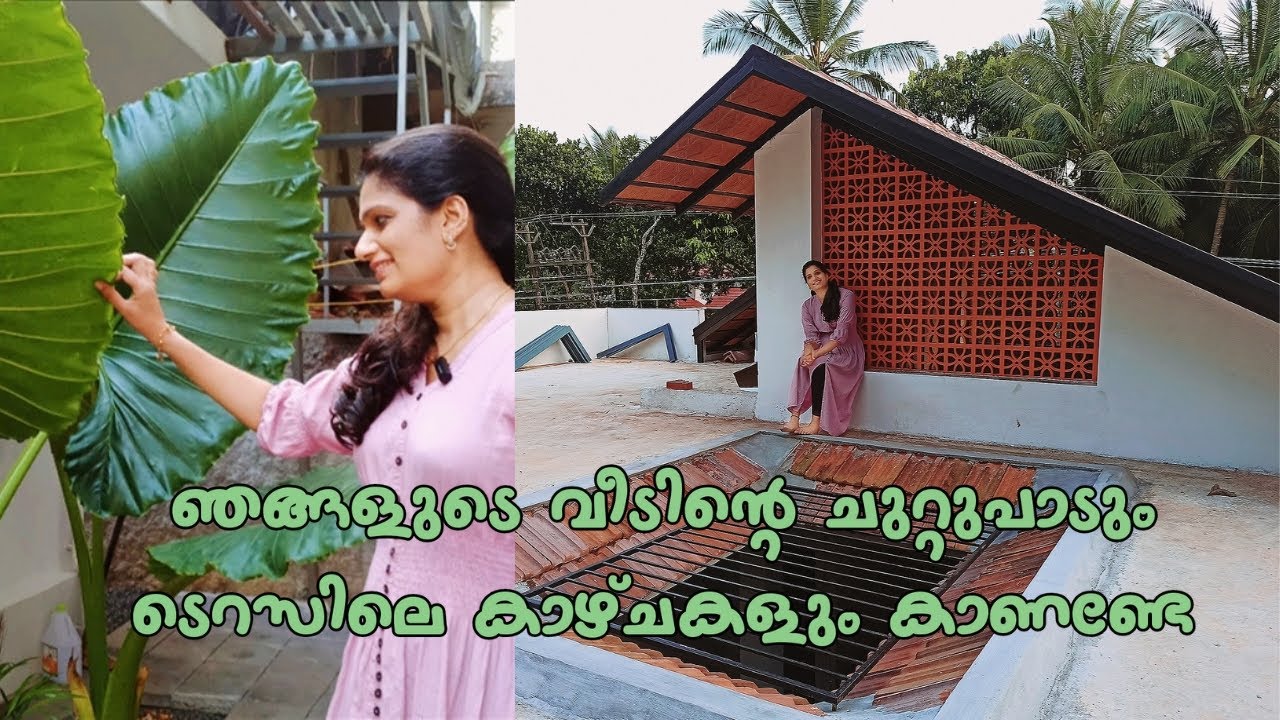 ഞങ്ങളുടെ വീടിന്റെ ചുറ്റുപാടും ടെറസിലെ കാഴ്ച്ചകളും കാണണ്ടേ | Terrace and Backyard |3 BHK | മിഴി
